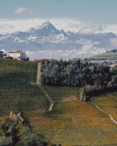 Piemonte vin
