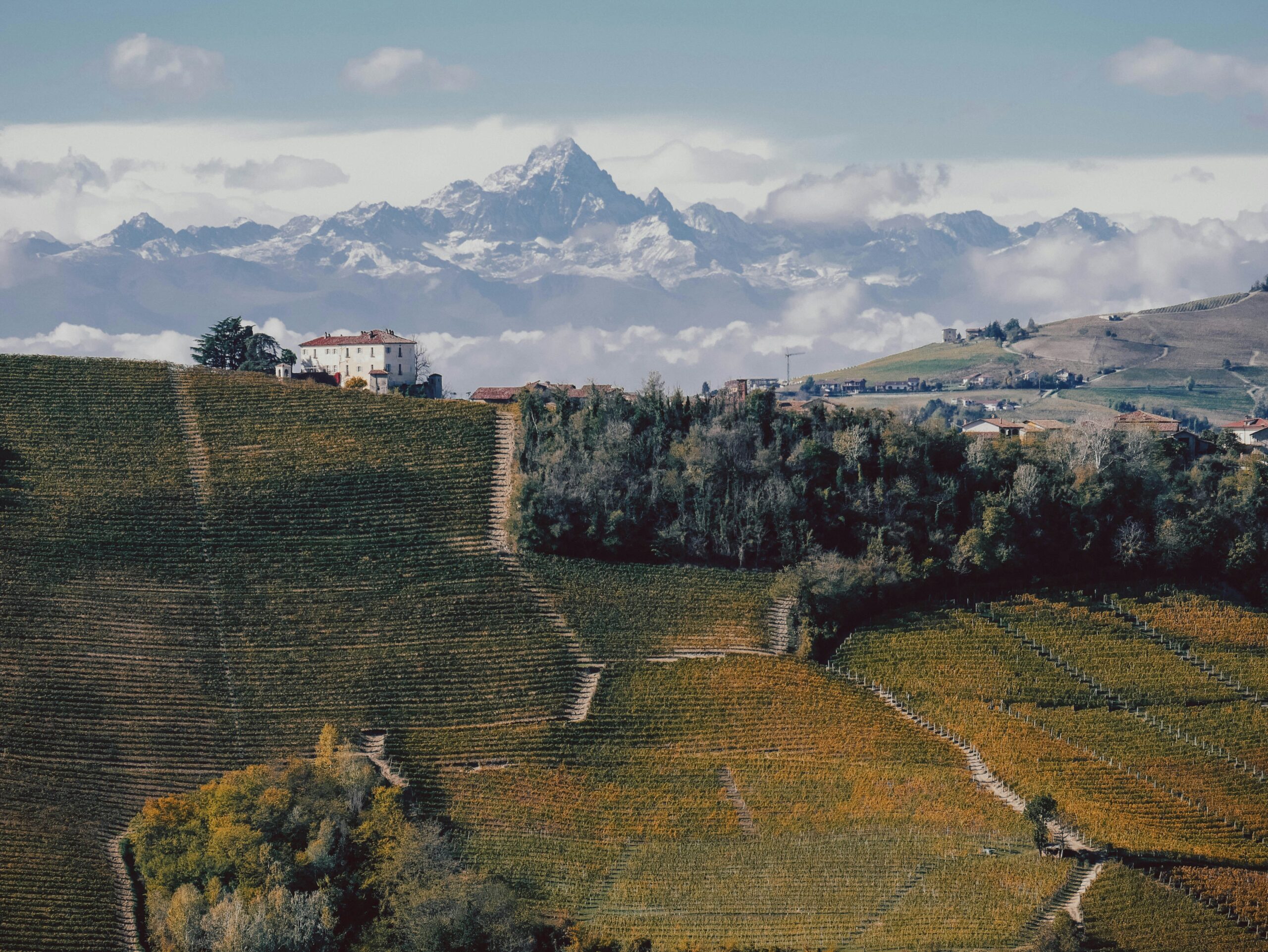 Piemonte, vinlåda nummer 3