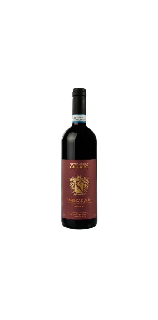 Barbera d'Alba Superiore