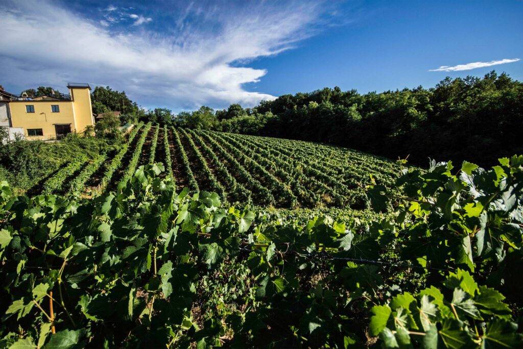 Cascina Gentile