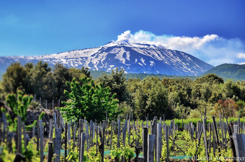 Calcagno på Etna
