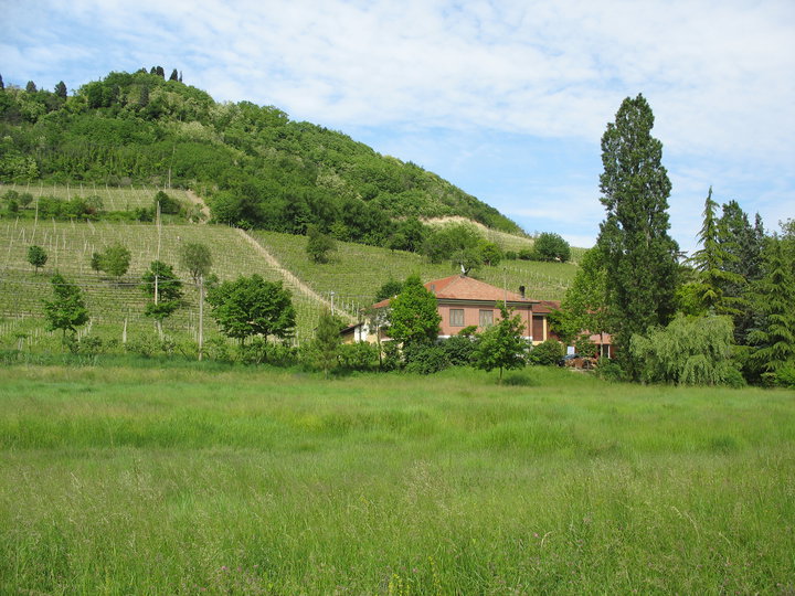 Cascina Vigna