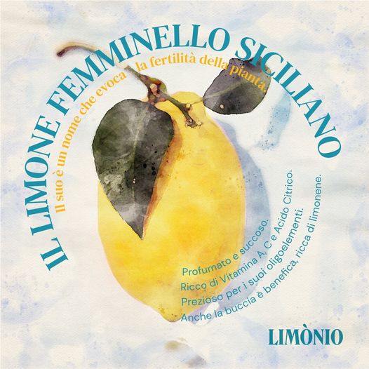 Limonio