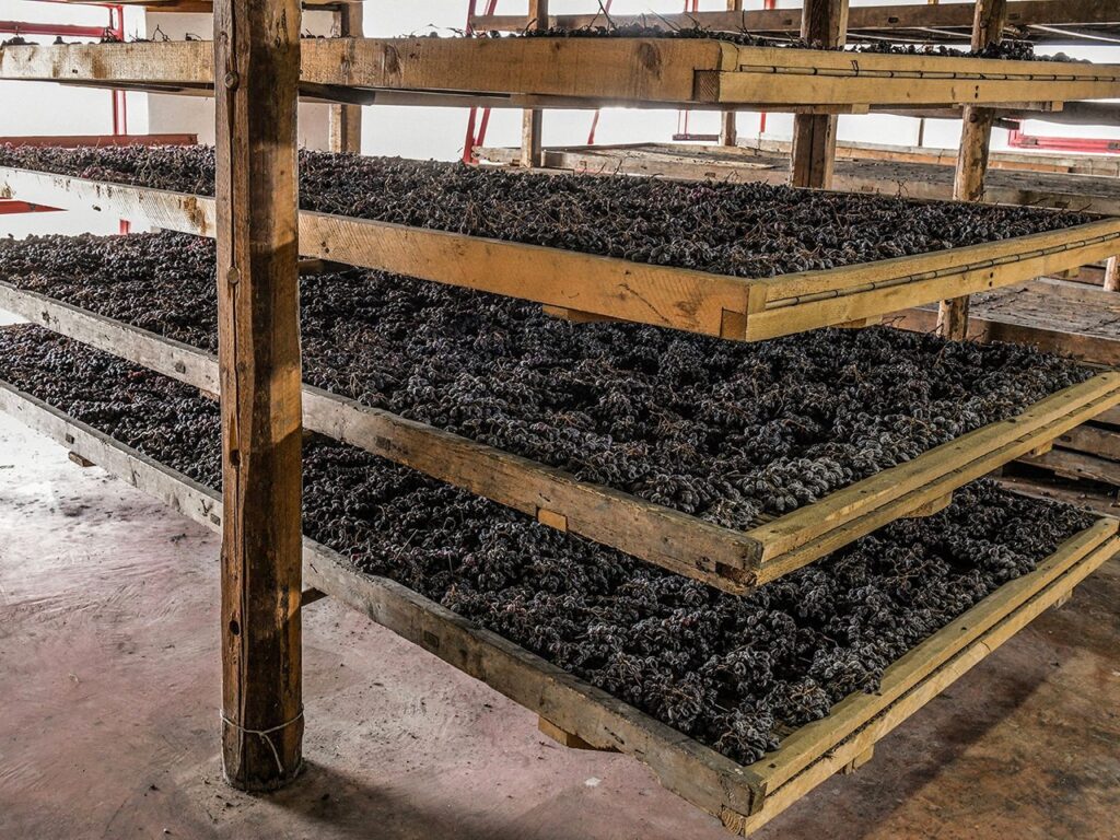Torkning av druvor till Amarone