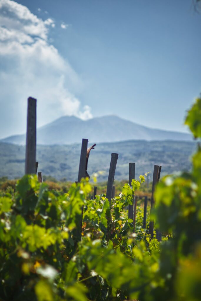 Calcagno på Etna