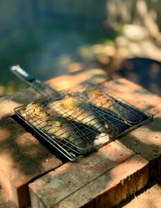 Grillad öring